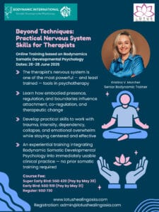 Beyond Techniques: Practical Nervous System Skills for Therapists